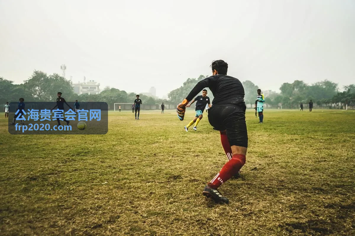 公海贵宾会私属活动管理